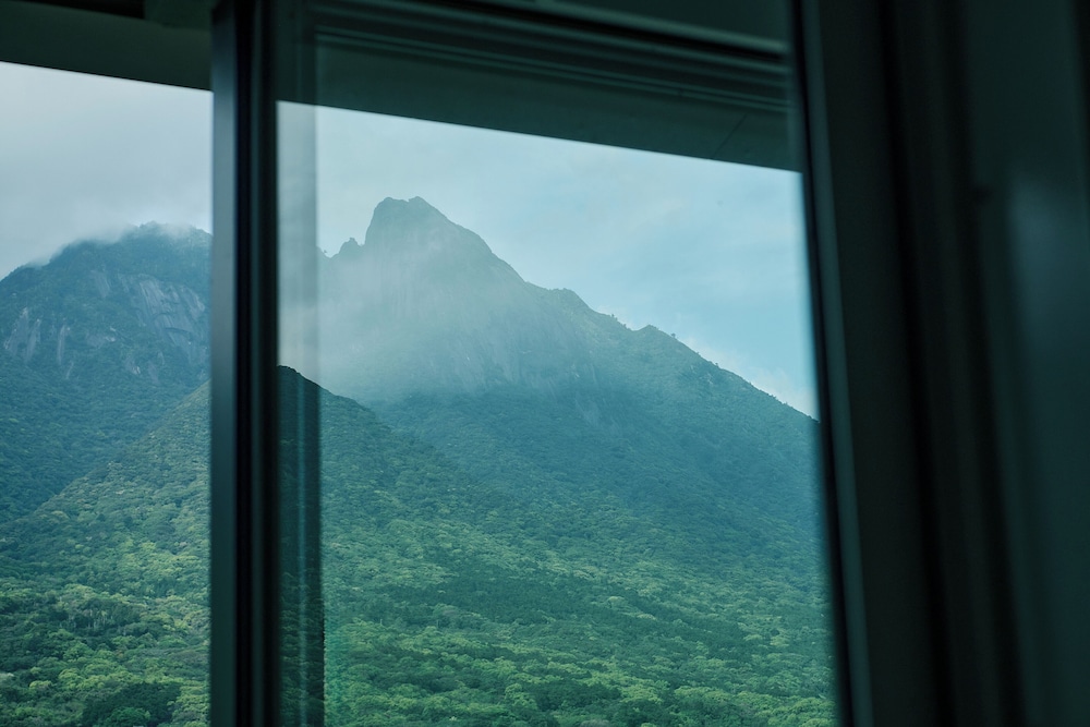 スタンダード ツインルーム シングルベッド 2 台 禁煙 マウンテンビュー 客室2 | サマナ ホテル 屋久島