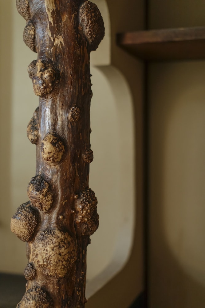 和室 ファミリールーム ガーデンビュー 『竹』 客室2 | 十四春旅館