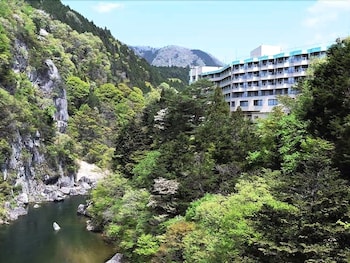 鬼怒川 ロイヤル ホテル