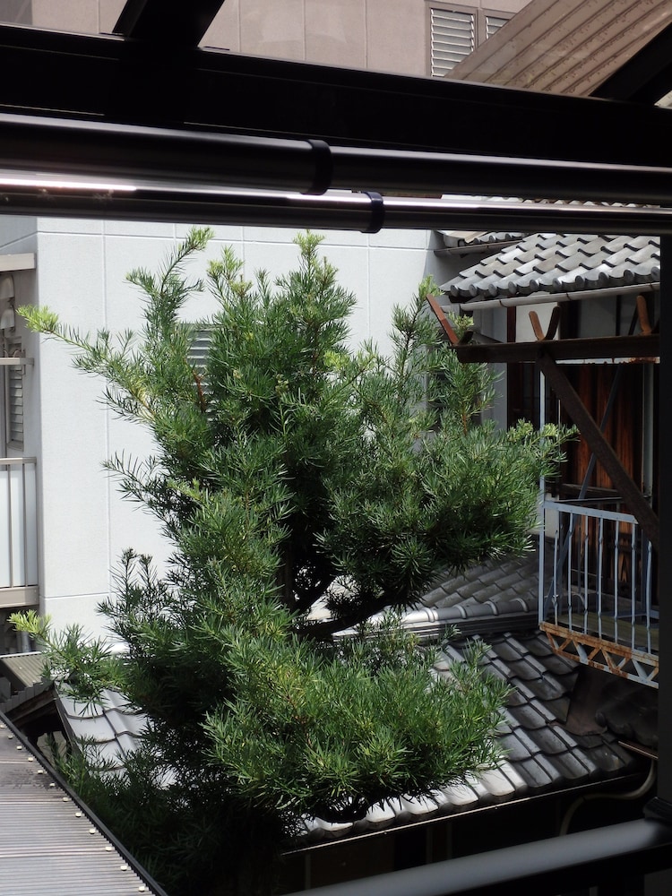 ファミリー ルーム バルコニーからの眺望0 | 京の宿 西大路