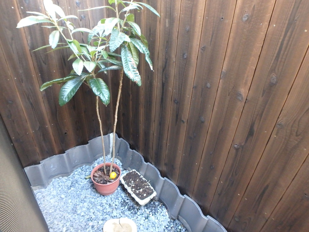 ファミリエ 部屋からの景観0 | 京の宿 西大路