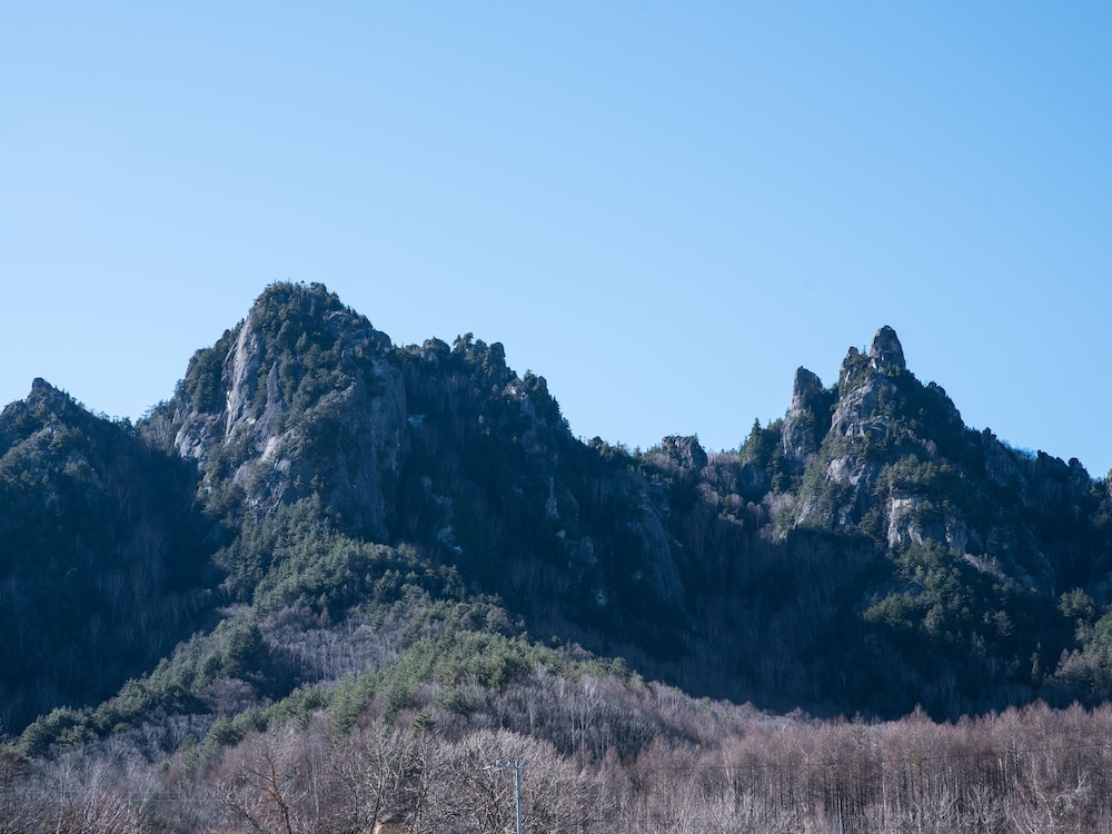 和室 部屋からの景観0 | 岩根山荘