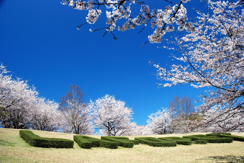 メインイメージ | ホテルラフォーレ修善寺 メインイメージ | ホテルラフォーレ修善寺