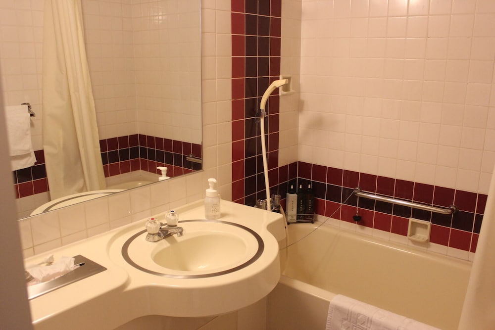 ダブルルーム 禁煙 (2人利用) バスルーム0 | ホテル 談露館