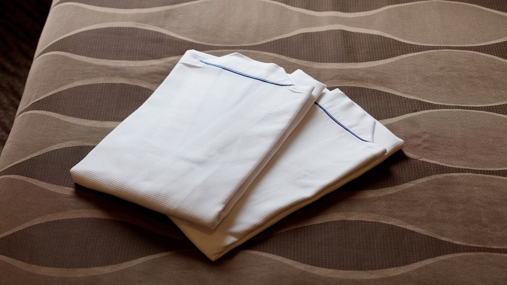 セミダブルルーム 大人2名用 喫煙可 客室の設備とサービス0 | センターホテル成田 1