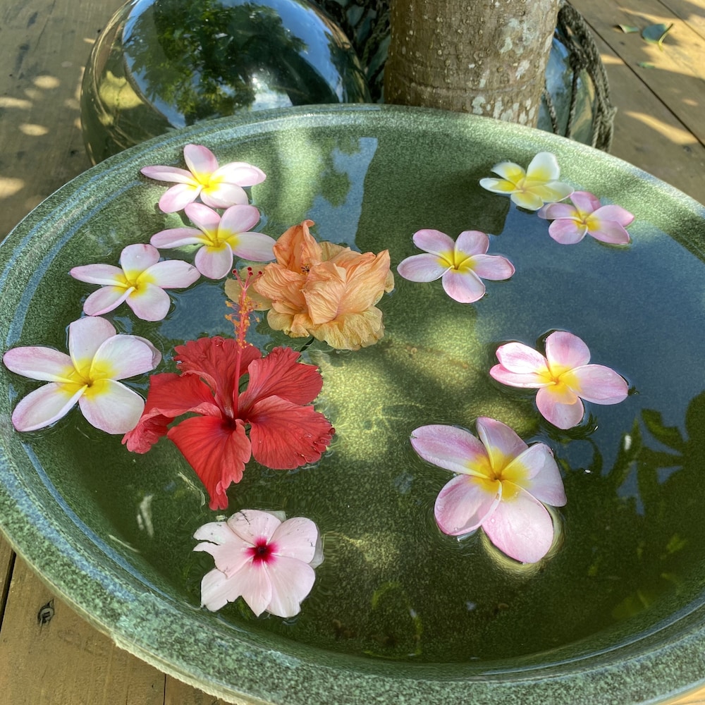 トリプルルーム シングルベッド 3 台 禁煙 (2-3名様用) | はりはりはうす