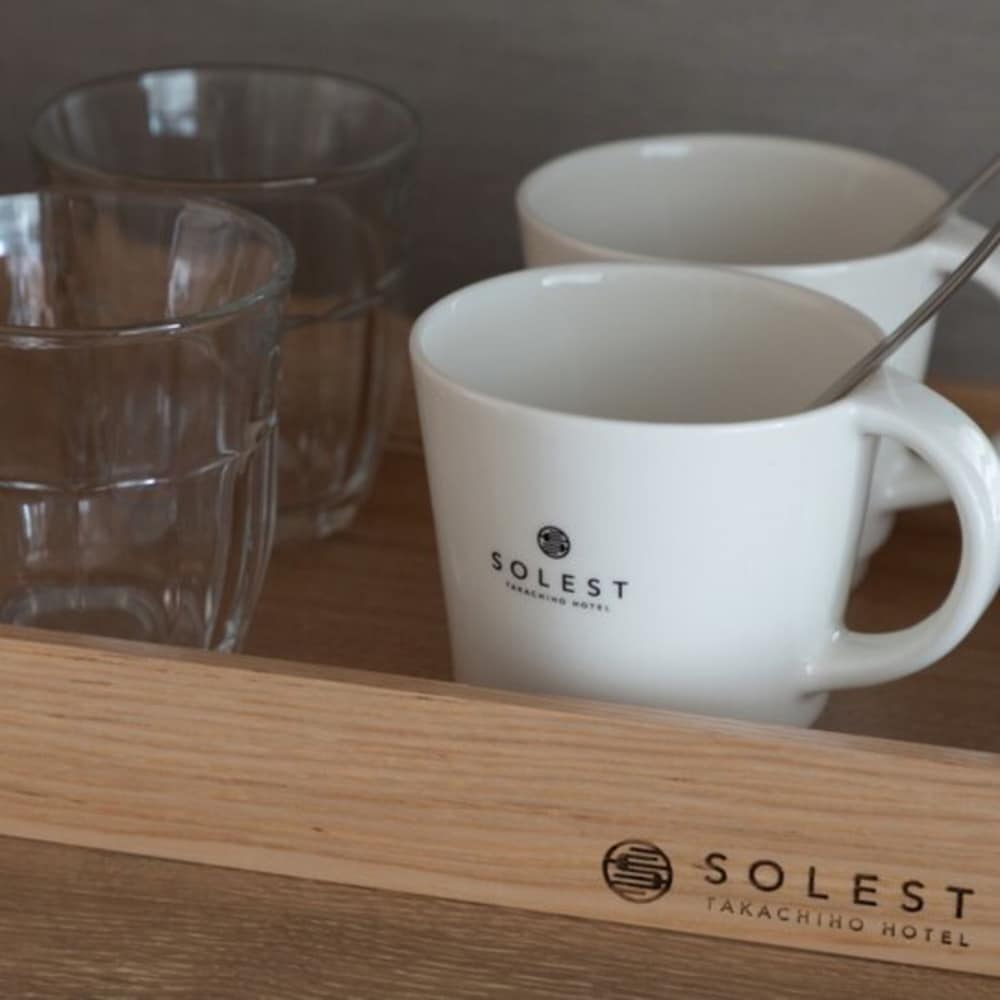 スタンダード ダブルルーム (素泊まり) 客室の設備とサービス1 | ソレスト高千穂ホテル