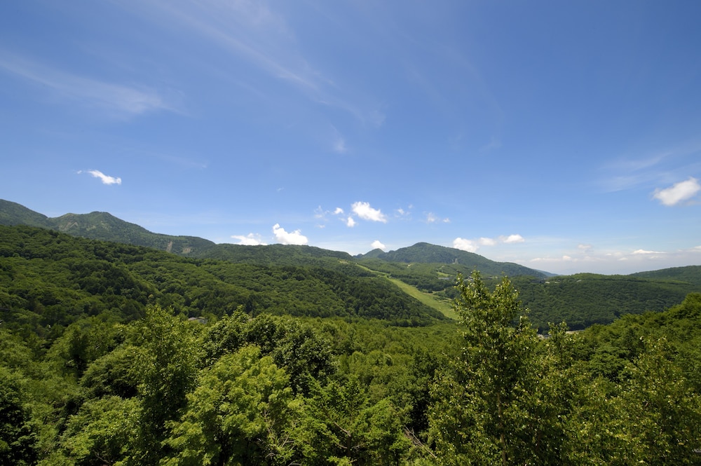 和洋室 スーペリアルーム 専用バスルーム付 部屋からの景観0 | ホテル東館