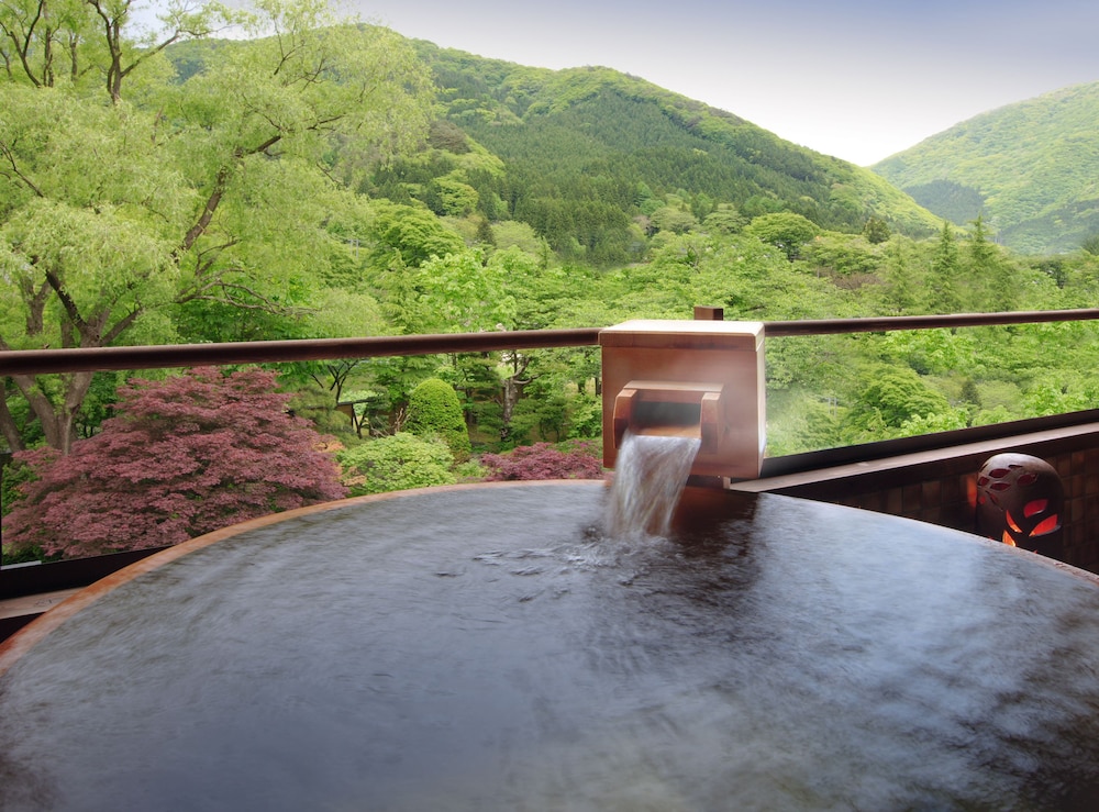 和室 2人部屋 温泉付 禁煙 316 深めの浴槽0 | ゆめみの宿観松館