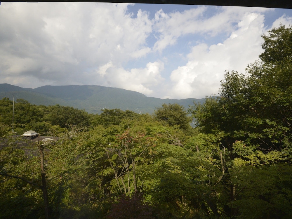 露天風呂付和室 2ベッド(10畳)（大人専用客室） 部屋からの景観3 | 強羅花扇