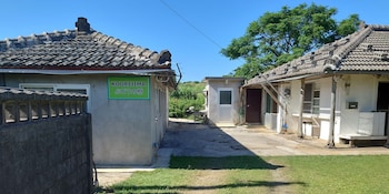 KOURIJIMA ぶどうの樹