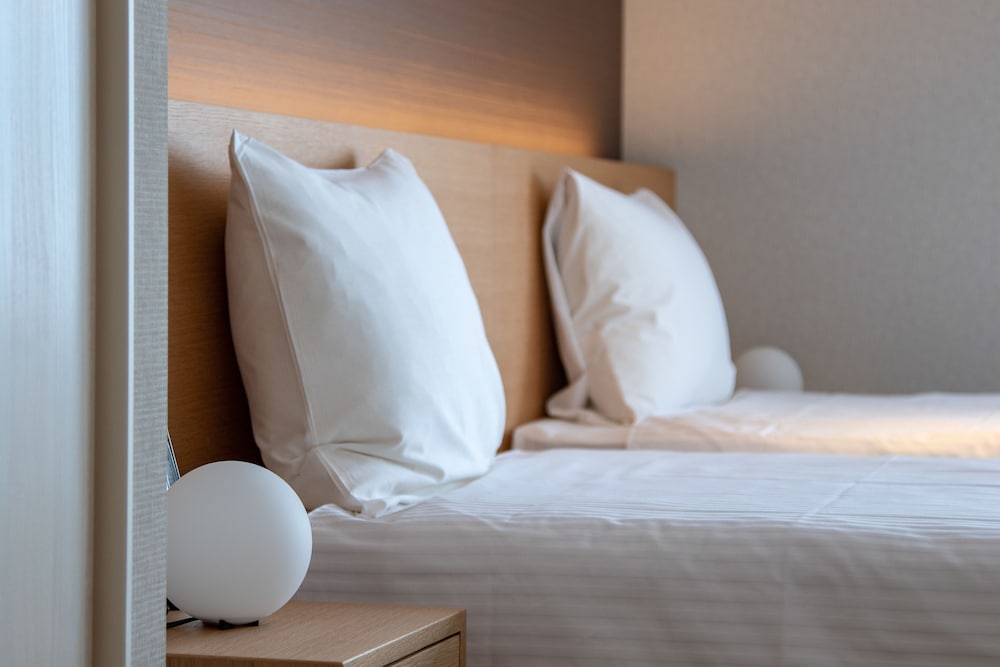 スーペリアスタジオ(１階) 客室3 | ザ・メイプルズニセコ