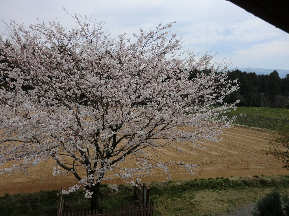 一棟貸し バルコニーからの眺望1 | 旅宿ラッシー