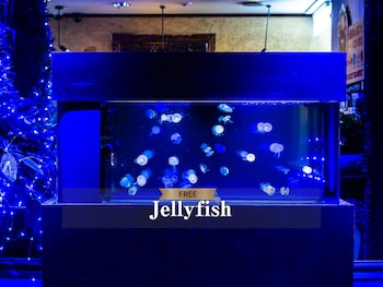 ホテルバリアンリゾート東名川崎 I.C 店 - 大人限定