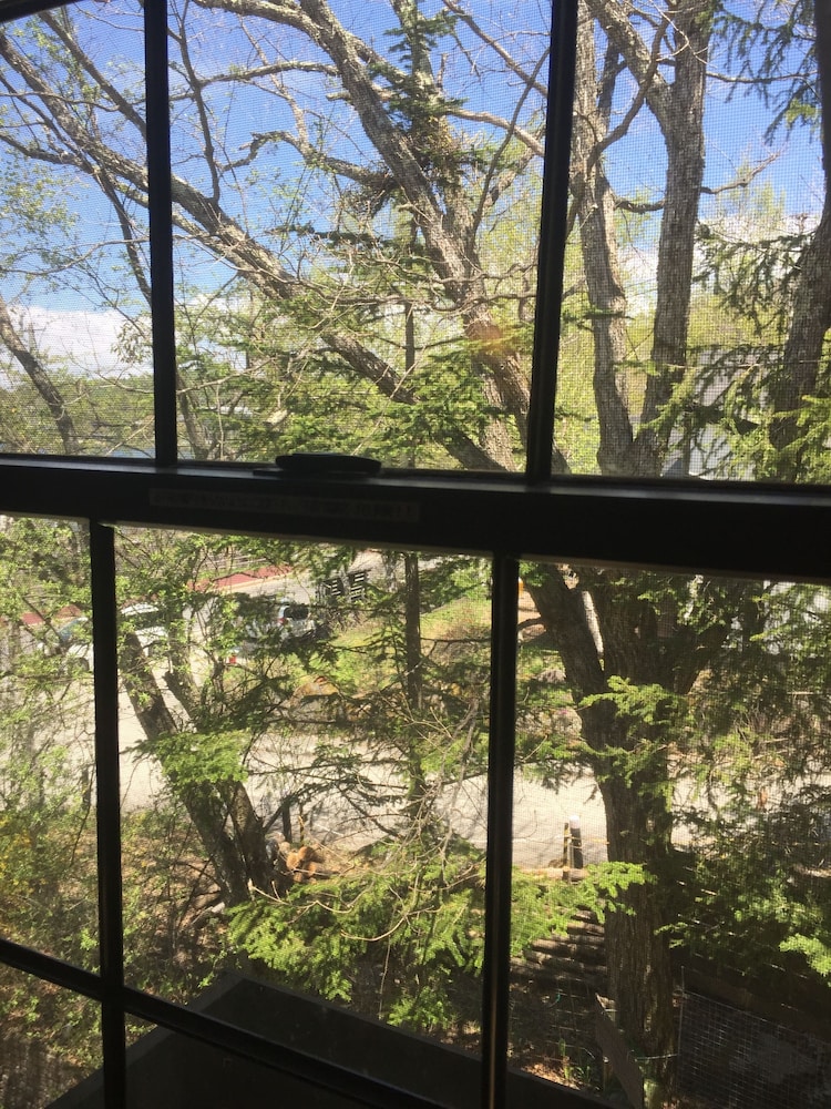 4 人部屋 レイクビュー レイク ビュー1 | ホテル白樺湖榮園