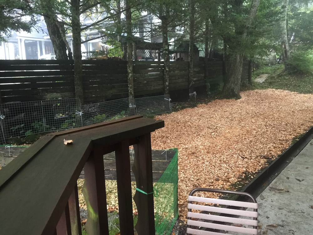 ペット同伴可1 | ホテル白樺湖榮園