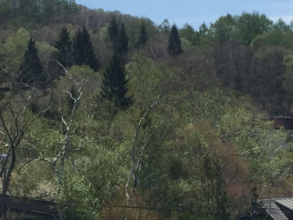 トリプルルーム マウンテンビュー マウンテン ビュー0 | ホテル白樺湖榮園