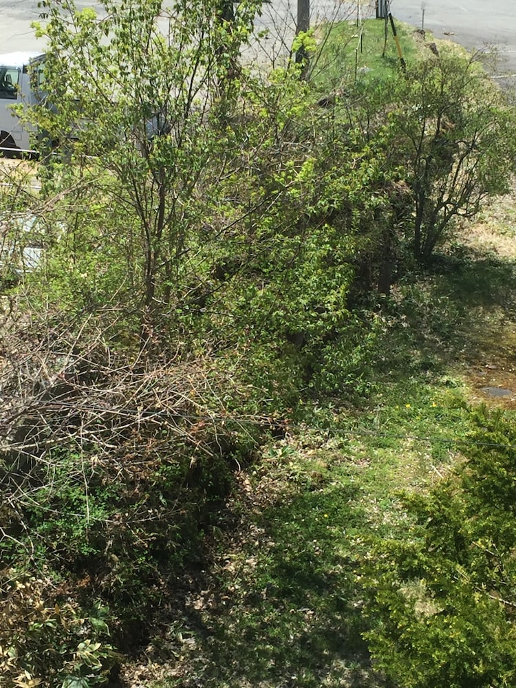 ツインルーム マウンテンビュー マウンテン ビュー0 | ホテル白樺湖榮園