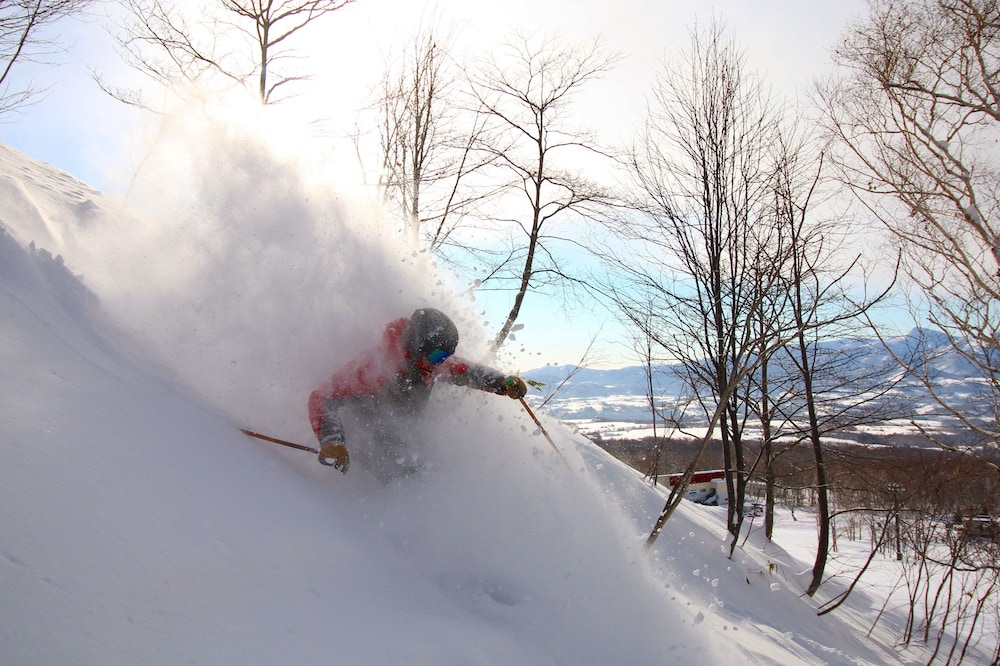 スノー スポーツとスキー1 | Cocoa Niseko スノー スポーツとスキー1 | Cocoa Niseko