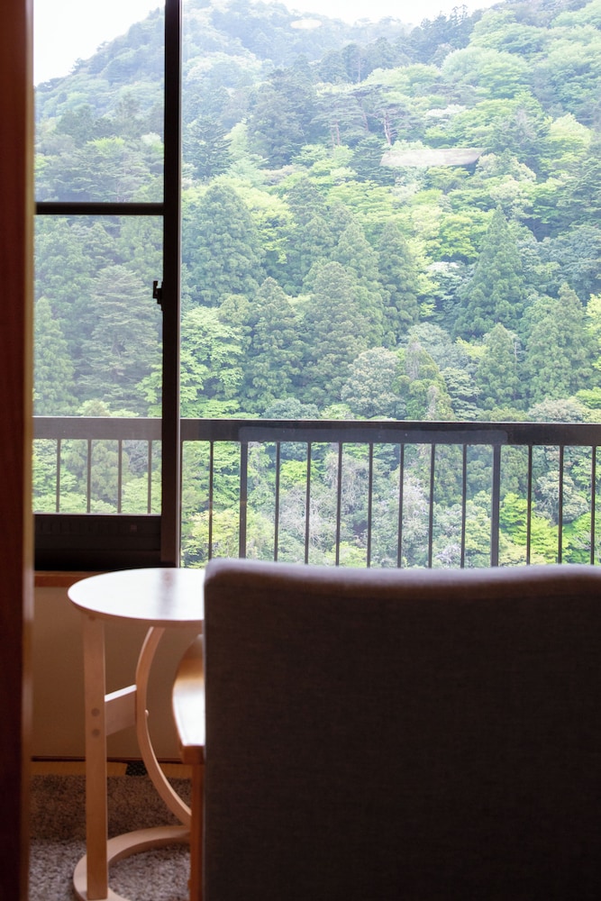 和室 12.5畳 禁煙(マッサージチェアと陶器風呂) 部屋からの景観0 | 鹿の湯ホテル