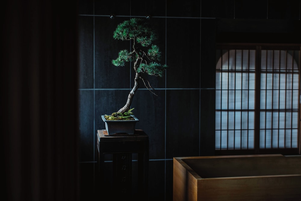 本館108:ガーデンビュー (ほら貝の間) スイート 客室15 | そわか SOWAKA