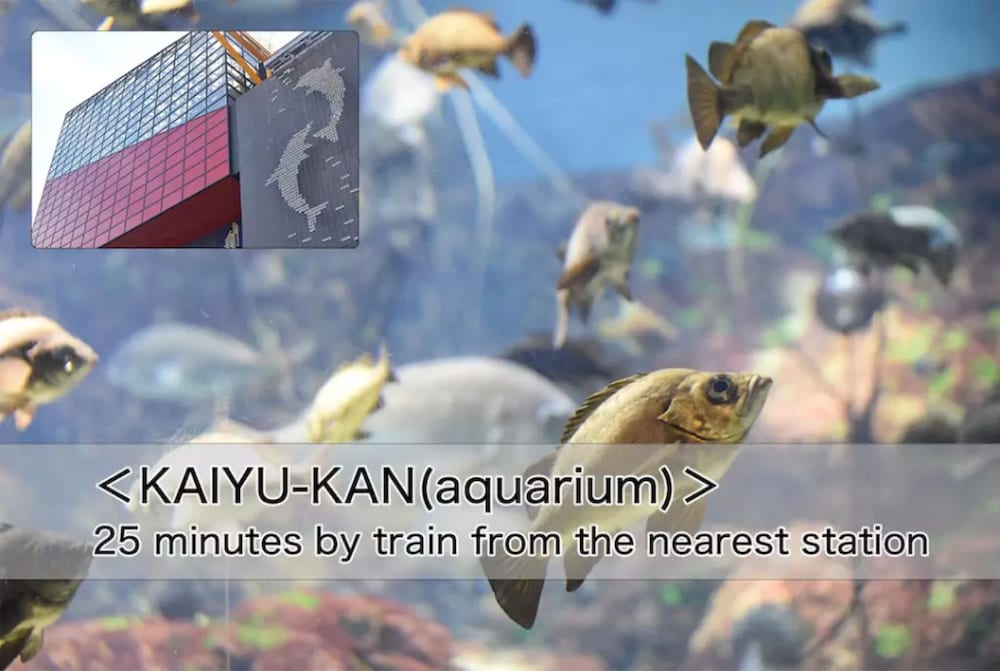 観光スポット1 | Alivio House 観光スポット1 | Alivio House