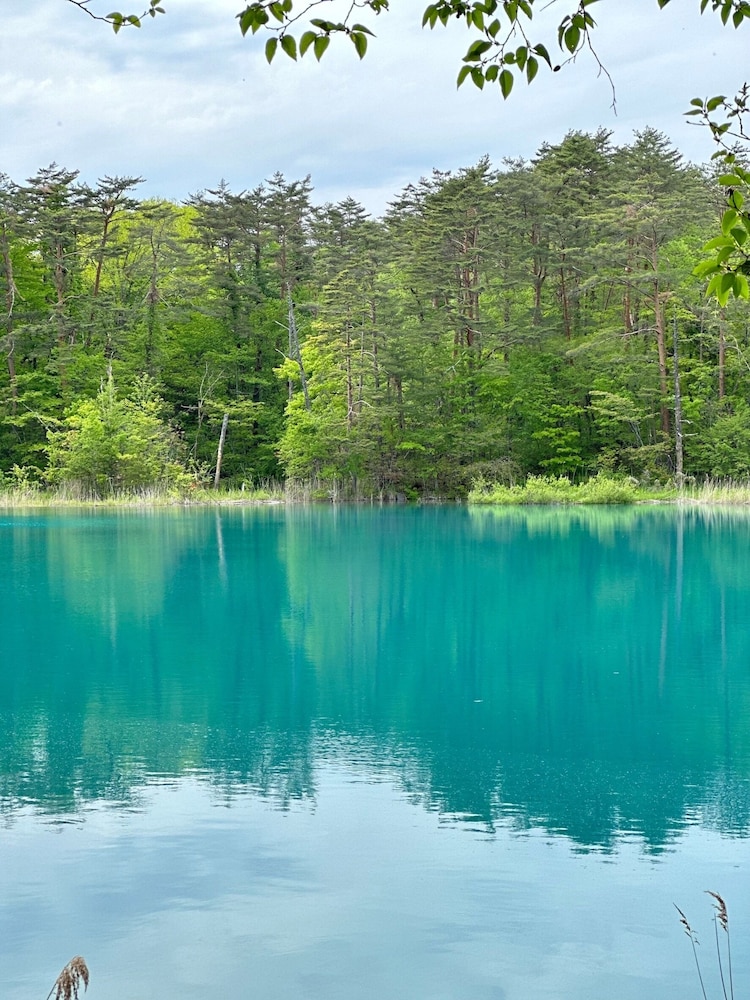 観光スポット1 | Nature Cottage Akabeko