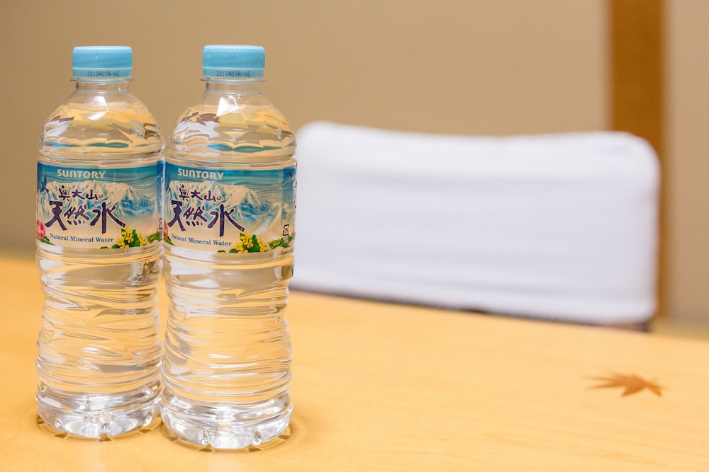 エコノミールーム 禁煙 別館 客室3 | 京都 南禅寺 八千代 (1915 年創業)