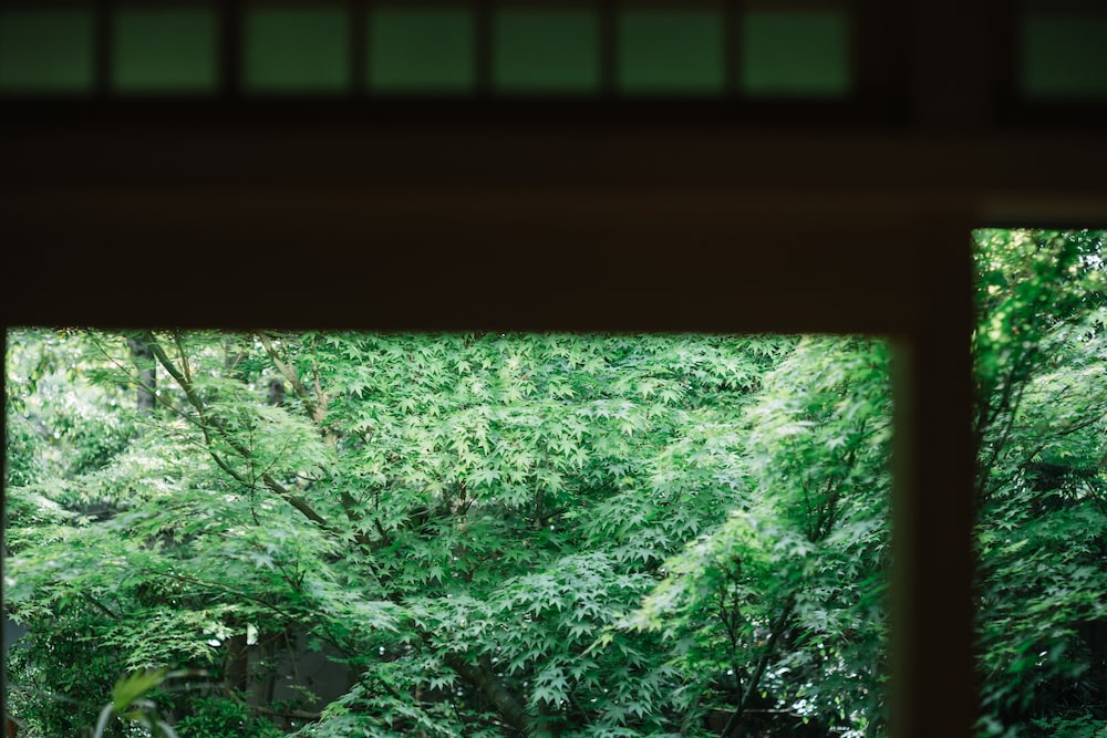 トラディショナル スイート 2 ベッドルーム ガーデンビュー 1 階 客室5 | 京都 南禅寺 八千代 (1915 年創業)