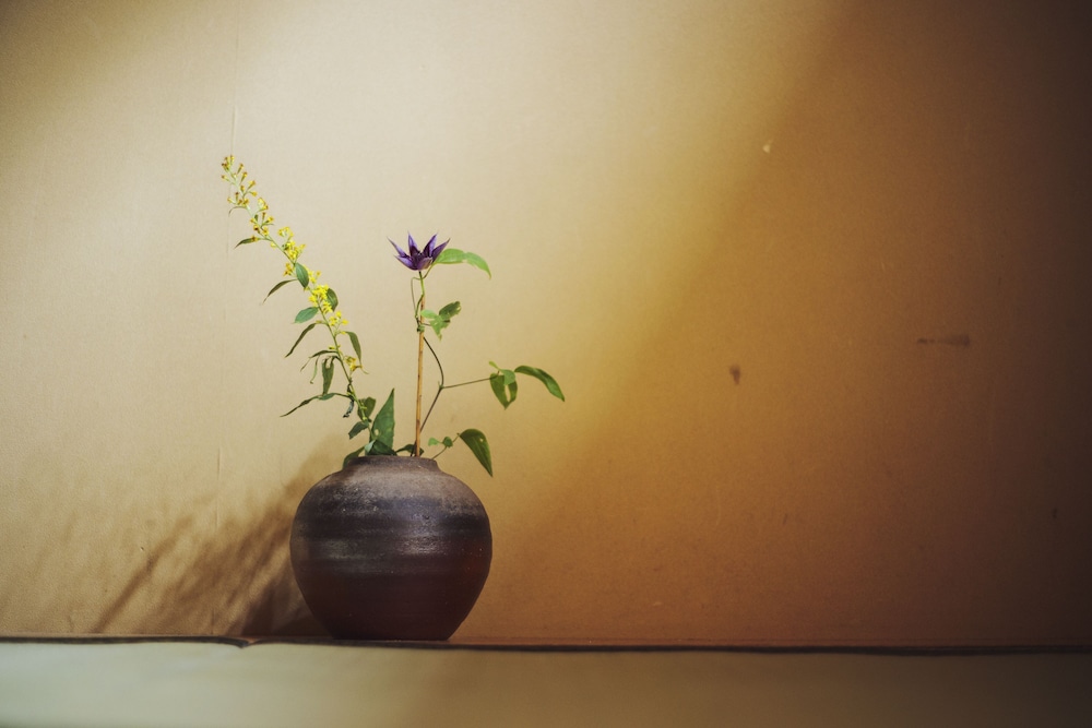 トラディショナルルーム　もず　禁煙　共用バスルーム 客室1 | 旅館元奈古