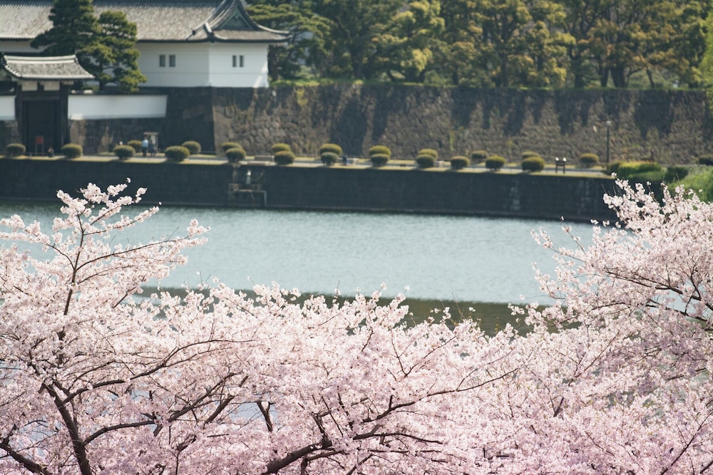 シャングリ・ラ 東京