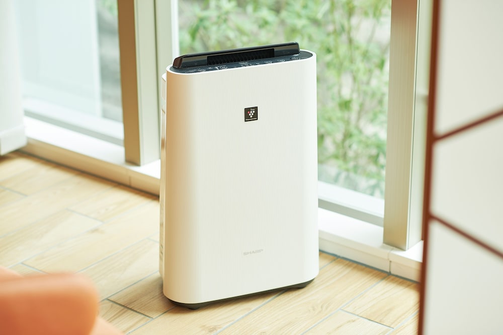 セミダブルルーム 禁煙 客室2 | ホテルサンルート新潟