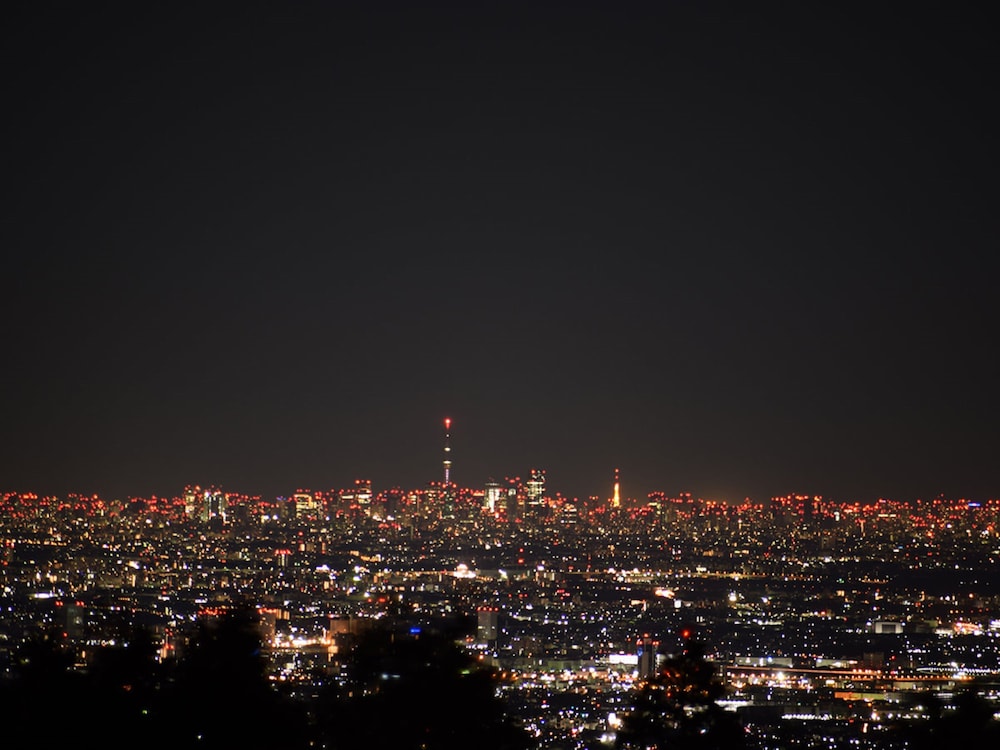 スーペリア ツインルーム 禁煙 ゴルフビュー [夕食は18時までにいらしてください] 部屋からの景観1 | 箱根湯の花プリンスホテル