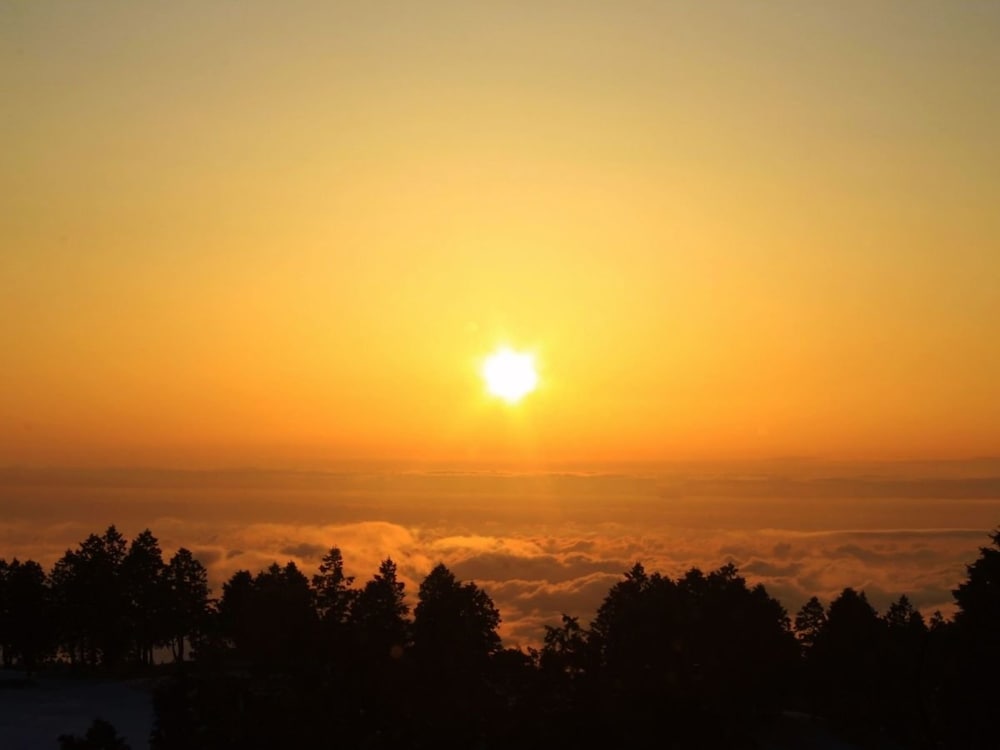 スーペリア ツインルーム 禁煙 ゴルフビュー [夕食は18時までにいらしてください] 部屋からの景観0 | 箱根湯の花プリンスホテル