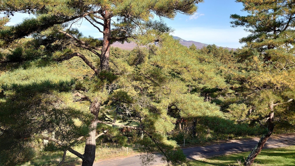 ツインルーム 本白根山サイド 禁煙 部屋からの景観0 | 嬬恋プリンスホテル