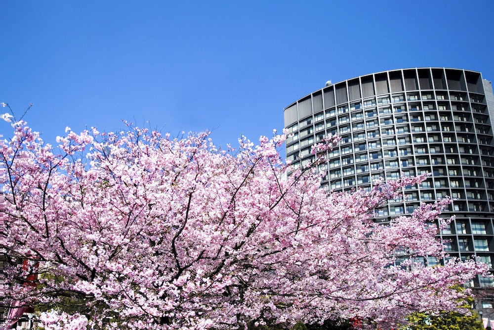 メインイメージ | ホテル グランド アーク半蔵門 メインイメージ | ホテル グランド アーク半蔵門