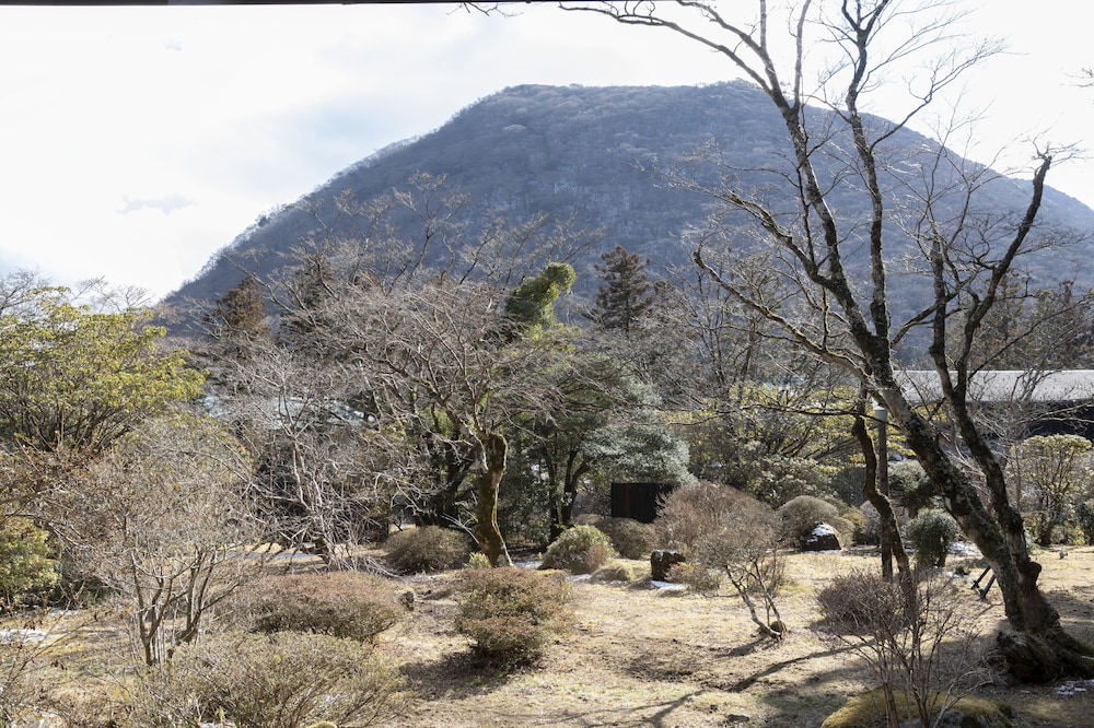 離れ(定員4名 1階「洗心亭」露天風呂付) 部屋からの景観0 | 松坂屋本店