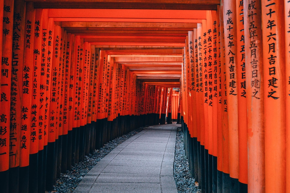 観光スポット1 | 奏 東寺南門 観光スポット1 | 奏 東寺南門
