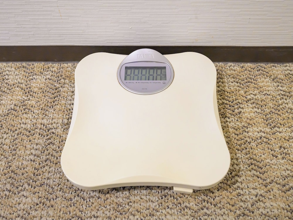 セミダブルルーム 禁煙 客室3 | センターワンホテル半田