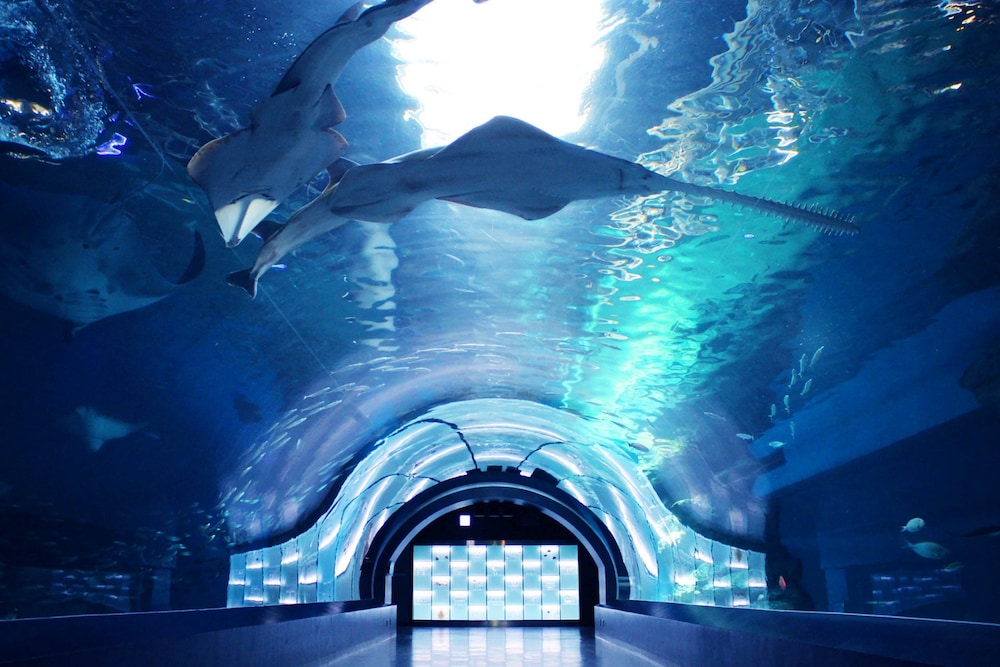 施設内の設備1 | 品川プリンスホテル Nタワー