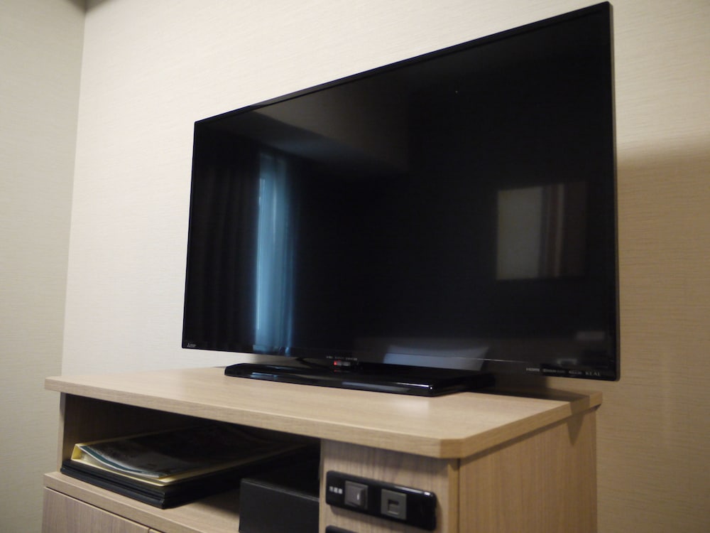 セミダブルルーム 禁煙 テレビ0 | ホテルルートイン新城