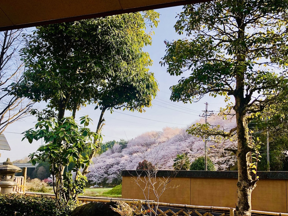 ファミリー ルーム 専用バスルーム 部屋からの景観0 | 瀧澤禅寺