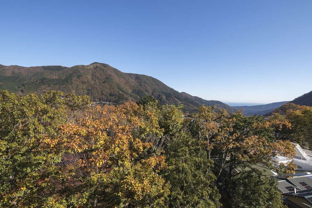 【天然温泉露天風呂付き】“和ツイン (庭側)” 38平米 バルコニーからの眺望0 | 箱根強羅温泉 雪月花 別邸 翠雲