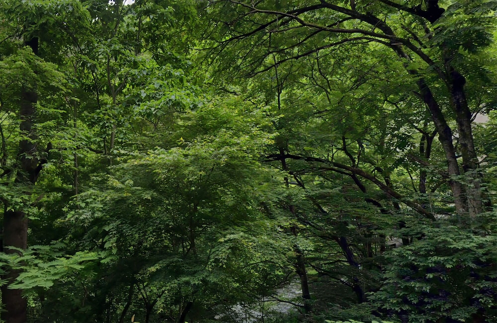 スタンダード和室 喫煙可 客室1 | 会津東山温泉 月のあかり