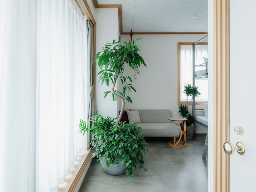 ボタニカルバンクツイン 禁煙 客室2 | Hotel Noum OSAKA