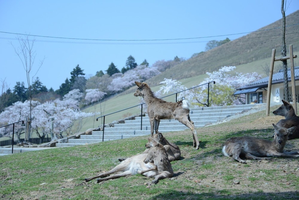 ハイキング1 | マウンテンホームロッジインディアーパーク ハイキング1 | マウンテンホームロッジインディアーパーク