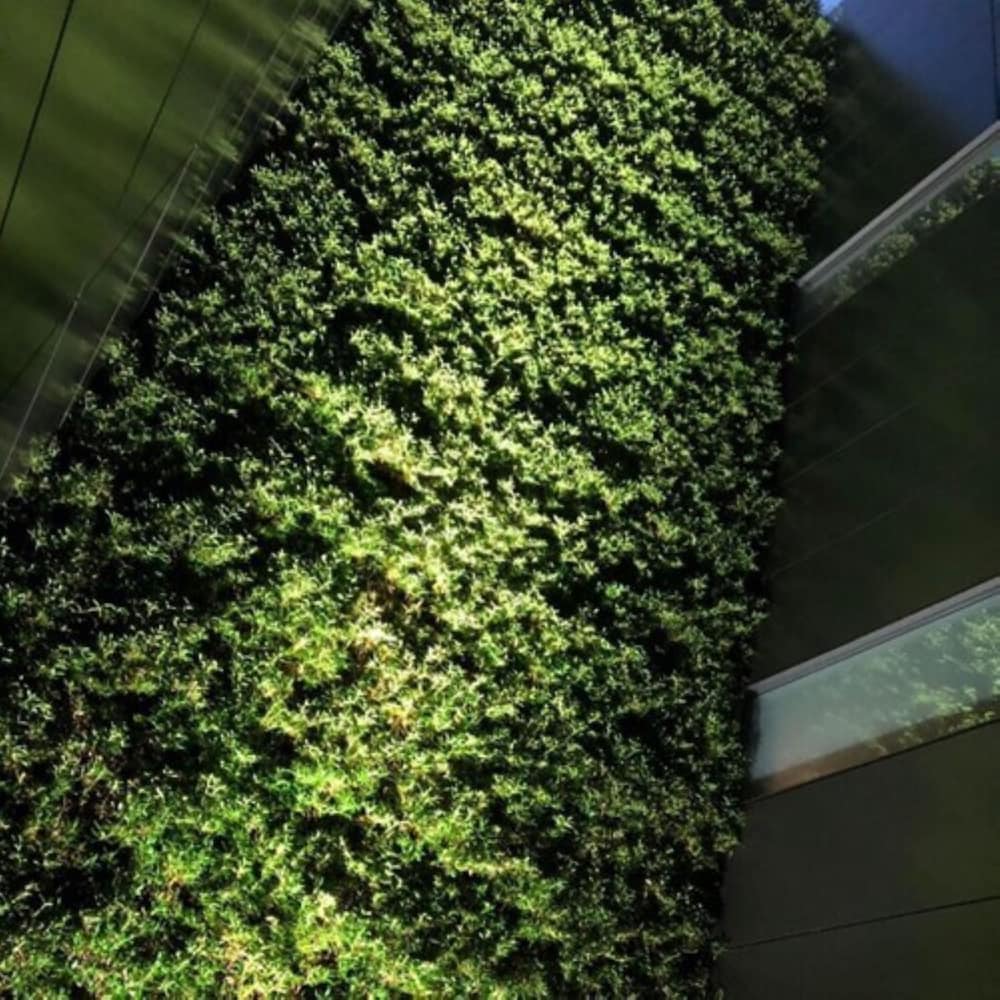 MOGANA Garden 部屋からの景観0 | MOGANA