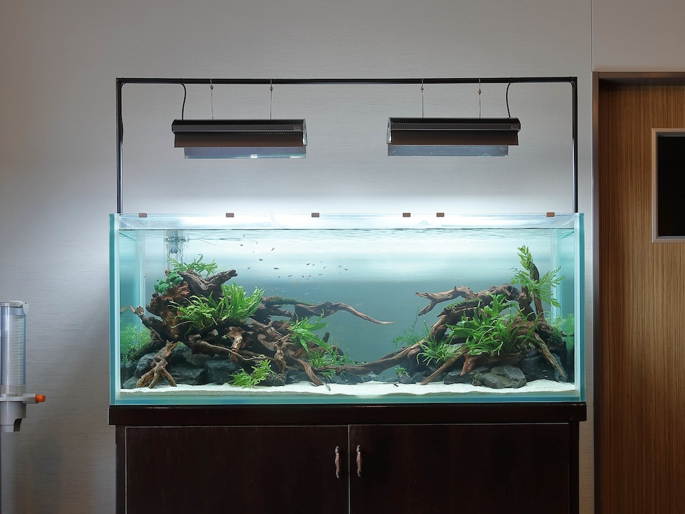 施設内の設備1 | アミスタホテル