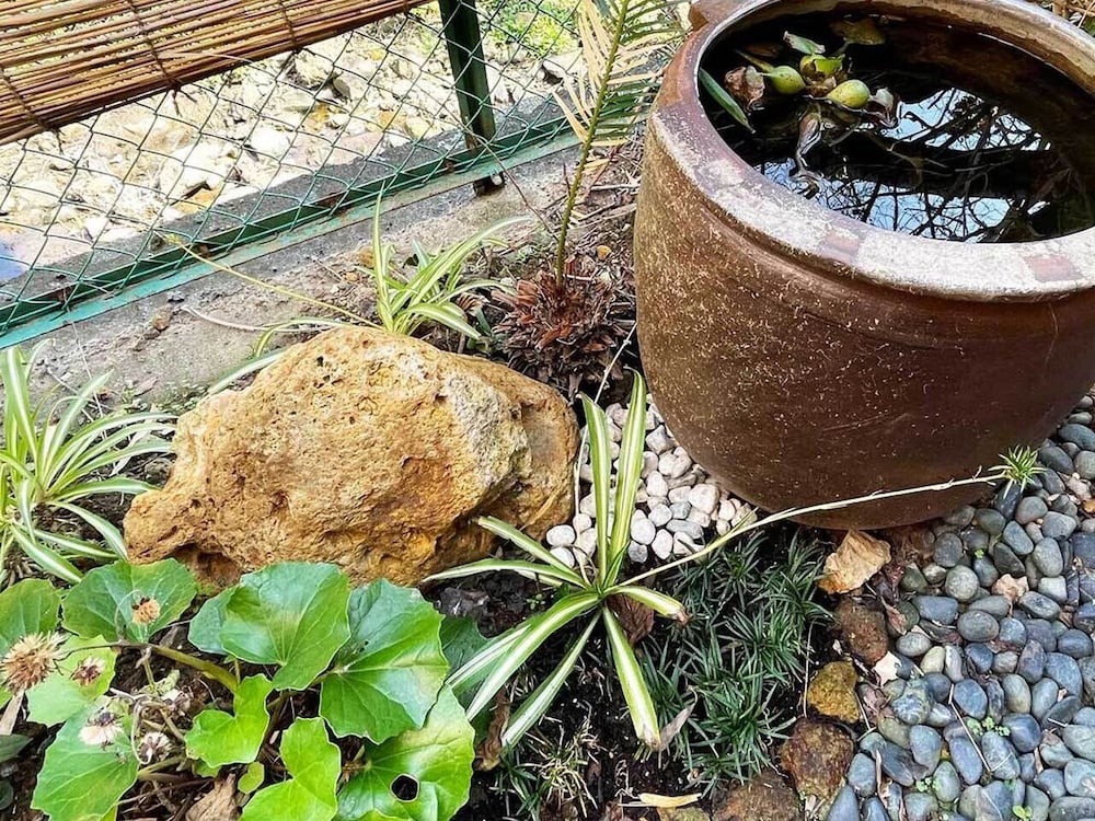 デラックス ルーム ガーデン ビュー0 | 浜辺の湯 下田荘