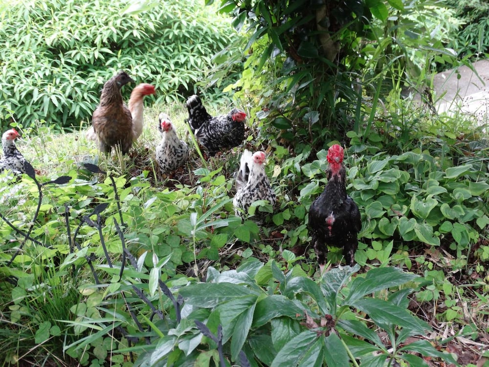 施設の敷地1 | 阿吽山房